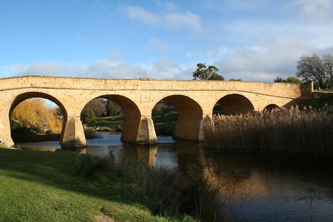 Mt. Wellington, Bonorong And Richmond Day Tour From Hobart - Accommodation Rockhampton 4