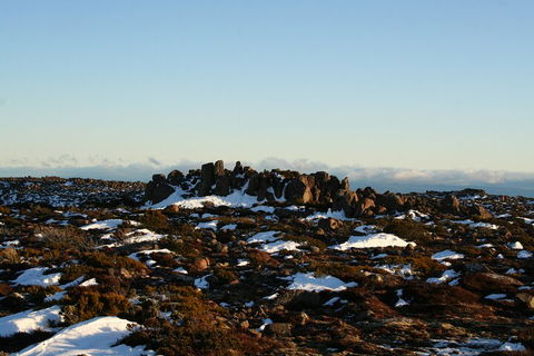 Mt. Wellington, Bonorong And Richmond Day Tour From Hobart - Accommodation Rockhampton 5