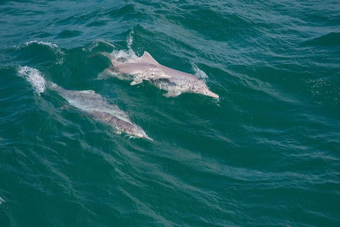 North Stradbroke Island Private Tour With Pickup - Accommodation Rockhampton 0