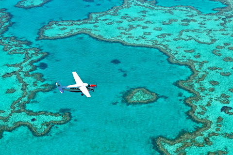 Fly & Sail Package (With Providence) - Accommodation Rockhampton 4