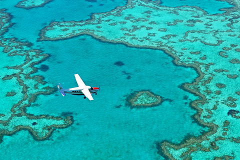 Reef And Island Scenic Flight From Airlie Beach - Accommodation Rockhampton 4