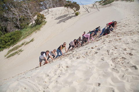 6-Day Tasmanian Explorer Adventure Tour From Hobart - Accommodation Rockhampton 2