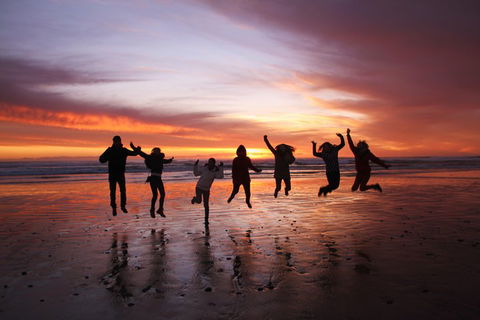 6-Day Tasmanian Explorer Adventure Tour From Hobart - Accommodation Rockhampton 3