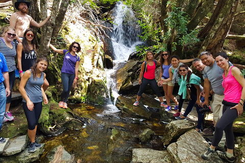 7-Day Super Value Tour Of Tasmania: Explore Tasmania's West And East Coasts - Accommodation Rockhampton 2