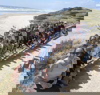 3 Day Tasmanian Wild West Coast Tour from Hobart to Launceston - Accommodation Rockhampton