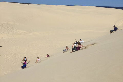 Port Stephens Bush, Beach And Sand Dune 4WD Passenger Tour - Accommodation Rockhampton 4