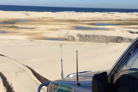 Port Stephens Bush, Beach And Sand Dune 4WD Passenger Tour - Accommodation Rockhampton 5