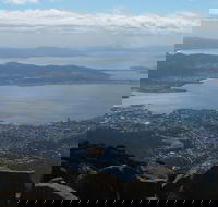 Mt Wellington Tour and MONA Admission - Accommodation Rockhampton