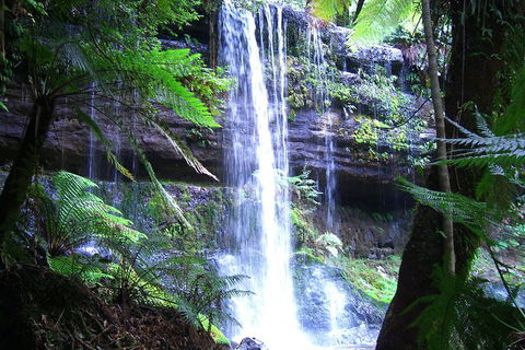 Mt Field National Park And Russell Falls From Hobart - Accommodation Rockhampton 0