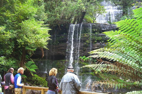 Mt Field National Park And Russell Falls From Hobart - Accommodation Rockhampton 1