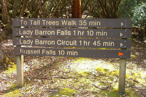 Mt Field National Park And Russell Falls From Hobart - Accommodation Rockhampton 2