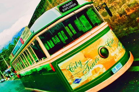 Hobart Half-Day Sightseeing Coach Tram Tour - Accommodation Rockhampton 5