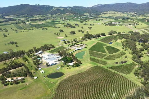 Helicopter Tour Of Hunter Valley In New South Wales With Lunch - Accommodation Rockhampton 4