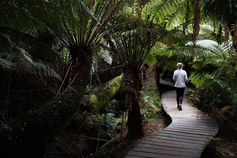Private Tour Of Melbourne - Accommodation Rockhampton 2