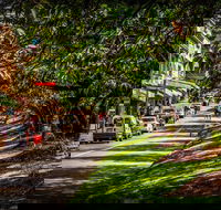 Fully Inclusive Blue Mountains Private Tour inc Scenic World  Featherdale entry - Accommodation Rockhampton