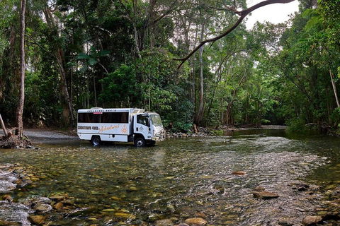 3 Day Cape Tribulation & Cooktown Tour From Cairns Or Port Douglas - Accommodation Rockhampton 3