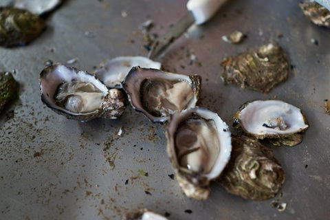 Fine Flavours - Full Day Kangaroo Island Food & Wine Tour - Accommodation Rockhampton 2