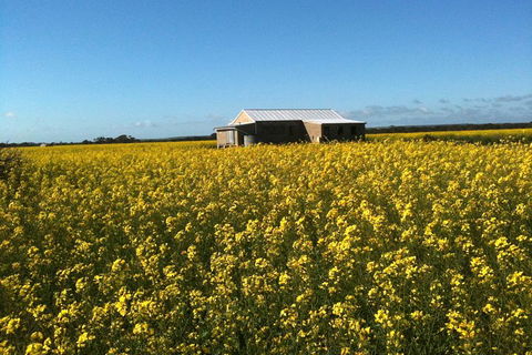 Fine Flavours - Full Day Kangaroo Island Food & Wine Tour - Accommodation Rockhampton 3