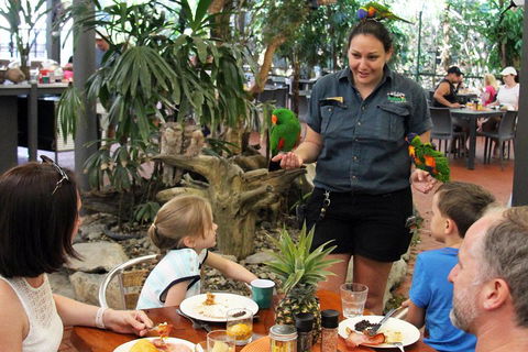 Wildlife Habitat Port Douglas - Accommodation Rockhampton 2