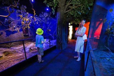 Wildlife Habitat Port Douglas - Accommodation Rockhampton 4