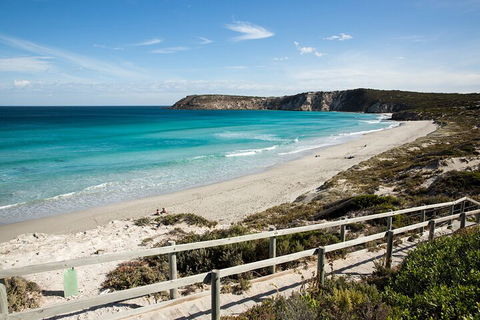 Full Day Kangaroo Island Sip And See Tour Departing From Kangaroo Island - Accommodation Rockhampton 5