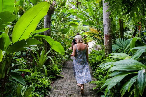 Cairns City Sights And Surrounds Tour - Accommodation Rockhampton 2