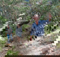 Small-Group Blue Mountains Tour with Bush Walks and Featherdale Wildlife Park - Accommodation Rockhampton