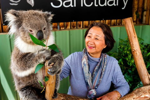 Moonlit Sanctuary Wildlife Conservation Park Daytime General Entry Ticket - Accommodation Rockhampton 0