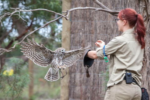 Moonlit Sanctuary Wildlife Conservation Park Daytime General Entry Ticket - Accommodation Rockhampton 1