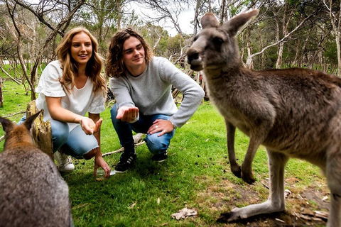 Moonlit Sanctuary Wildlife Conservation Park Daytime General Entry Ticket - Accommodation Rockhampton 2