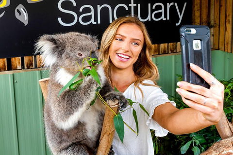 Moonlit Sanctuary Wildlife Conservation Park Daytime General Entry Ticket - Accommodation Rockhampton 4