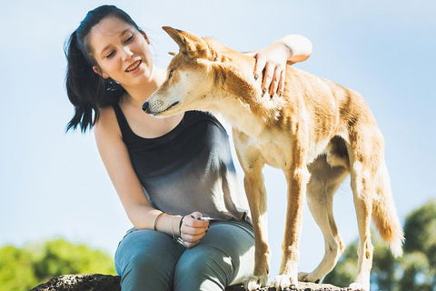 Moonlit Sanctuary Wildlife Conservation Park Daytime General Entry Ticket - Accommodation Rockhampton 5
