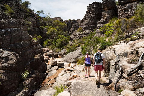 Grampians National Park With Kangaroos And MacKenzie Falls From Melbourne - Accommodation Rockhampton 3
