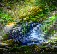Day Tour in Mt. Field Mt. Wellington Bonorong Wildlife Sanctuary and Richmond - Accommodation Rockhampton