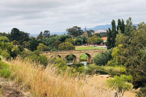 Day Tour In Mt. Field, Mt. Wellington, Bonorong Wildlife Sanctuary And Richmond - Accommodation Rockhampton 3