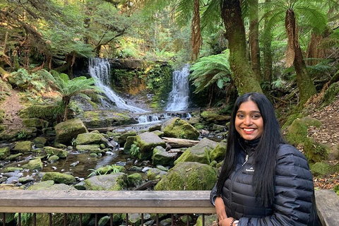 Day Tour In Mt. Field, Mt. Wellington, Bonorong Wildlife Sanctuary And Richmond - Accommodation Rockhampton 5