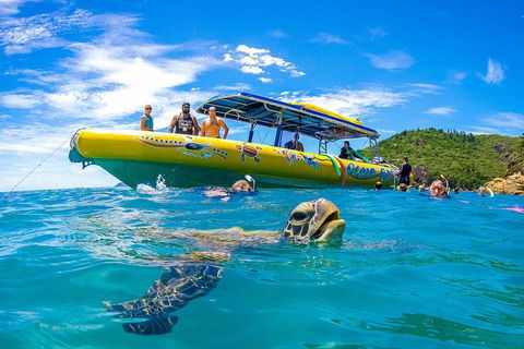 Great Barrier Reef Scenic Flight And Ocean Rafting Whitehaven Beach Day Trip - Accommodation Rockhampton 1