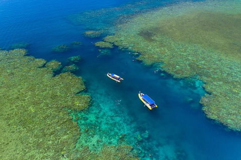 Great Barrier Reef Scenic Flight And Ocean Rafting Whitehaven Beach Day Trip - Accommodation Rockhampton 4