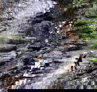 Full-Day Canyoning Experience at Stunning Empress Canyon - Accommodation Rockhampton