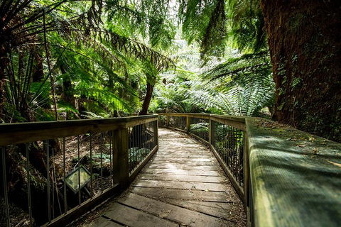 Melbourne To Adelaide South East Coast 3 Day Overland Tour - Accommodation Rockhampton 1
