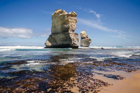 Melbourne To Adelaide South East Coast 3 Day Overland Tour - Accommodation Rockhampton 2