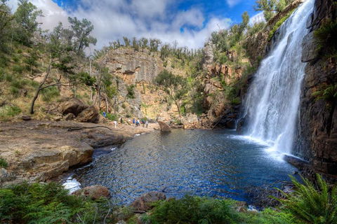 Melbourne To Adelaide South East Coast 3 Day Overland Tour - Accommodation Rockhampton 4