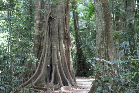 Noosa And Sunshine Coast Hinterland Day Trip From Brisbane - Accommodation Rockhampton 3