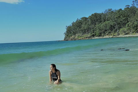 Noosa And Sunshine Coast Hinterland Day Trip From Brisbane - Accommodation Rockhampton 4