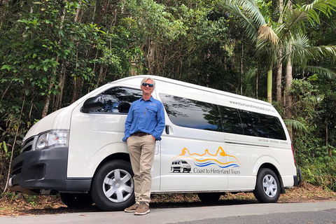 Sunshine Coast Hinterland Rainforest, Views And Montville Day Tour Inc. Lunch - Accommodation Rockhampton 1