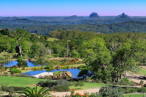 Sunshine Coast Hinterland Rainforest, Views And Montville Day Tour Inc. Lunch - Accommodation Rockhampton 5