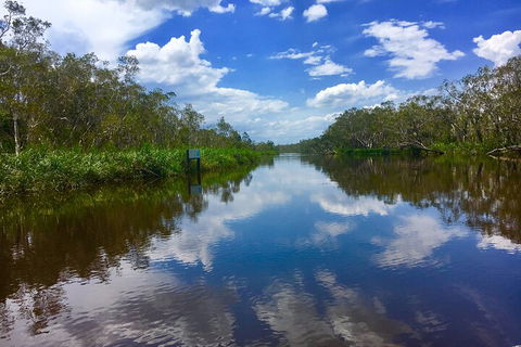 Noosa Everglades Serenity Cruise & Highlights Tour Inc. Lunch & Cruise - Accommodation Rockhampton 0