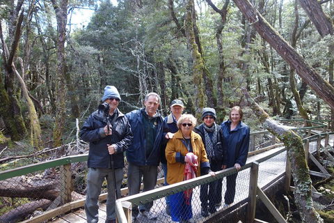 Blue Mountains Private Tour With Wildlife Park And River Cruise - Accommodation Rockhampton 2