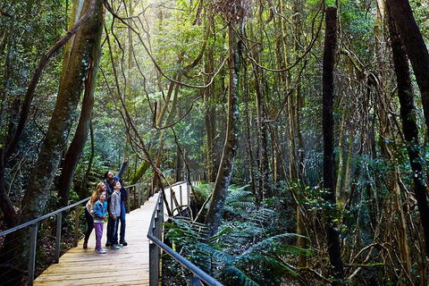 Blue Mountains Private Tour With Wildlife Park And River Cruise - Accommodation Rockhampton 4