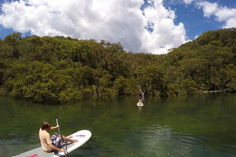 Ku-ring-gai Chase National Park Stand Up Paddleboard Tour - Accommodation Rockhampton 1